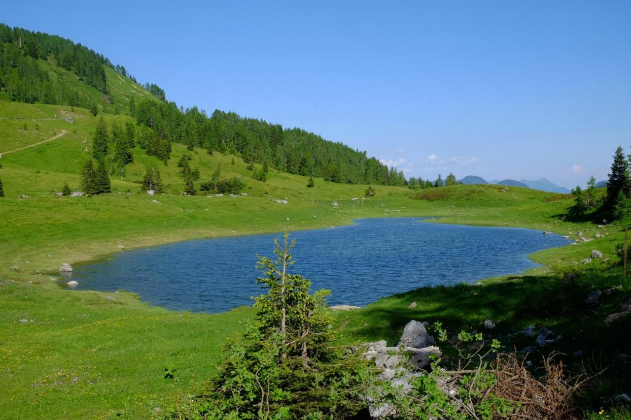 Casa Della Rosa Dolomites Experience Hotel Виго ди Кадоре Екстериор снимка